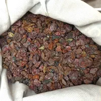 کشمش آبگیری