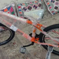 دوچرخه ویوا 26کوهستان آلمینیومی معاوضه با گوسفند