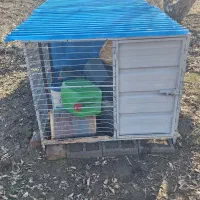 قفس حیوانات