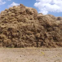 یونجه دم 1100بسته