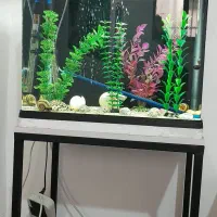 آکواریوم شرکتی دلسا مدل K500|ماهی|کرمانشاه, |دیوار