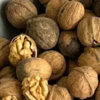 گردوکیلویی ۱۰۰۰۰۰۰تومان