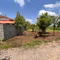 زمین 285 متری /آماده ساخت/مالک هستم/لشت نشا