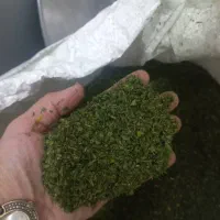 سززیجات خشک