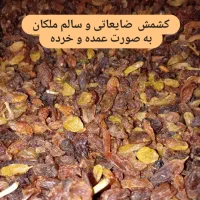 فروش کشمش ضایعاتی و سالم ملکان|خوردنی و آشامیدنی|میانه, |دیوار
