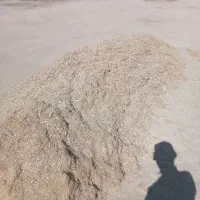 کاه لوبیاچیتی و سفیدفروشی|لوازم جانبی حیوانات|کلاله, |دیوار