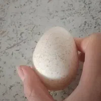 تخم بو قلمون