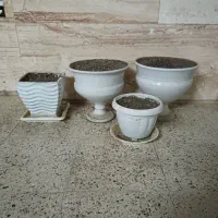 گلدان