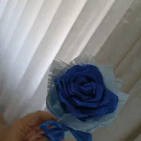 مینی گل روبانی