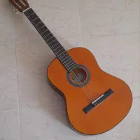 گیتار گلد