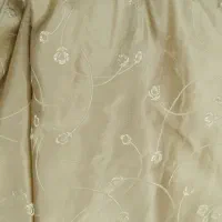 پرده ی زخیم