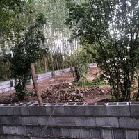 اجاره خانه کلنگی غیر مسکونیبرای گلخانه ۱۵۵۰|اجارهٔ خانه و ویلا|خمام, |دیوار