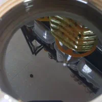 آب نارنج و رب نارنج