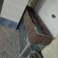 اکواریوم|ماهی|فولادشهر, مسکن مهر فولادشهر|دیوار