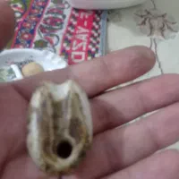 سنگ عتیقه|کلکسیون اشیاء عتیقه|فولادشهر, مسکن مهر فولادشهر|دیوار