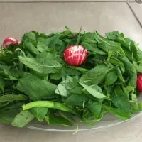 انواع سفارشاتا  سبزیجات    پذیرفته میشه
