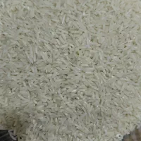 برنج طارم سالم وشکسته