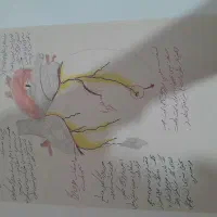 جزوه شکل زیست شناسی