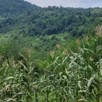 ۲هزامتر خانه روستای اطاقور