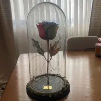 باکس رز جاودانه