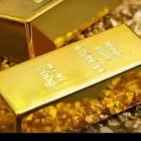 جذب سرمایه گذار