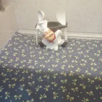 نمگیر ظروف|سفره، حوله، دستمال آشپزخانه|قوچان, |دیوار