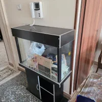 آکواریوم در حد نو|ماهی|اصفهان, سرتاوه|دیوار