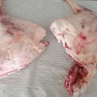 گوشت بره نرینه|خوردنی و آشامیدنی|تربت‌حیدریه, ترمینال|دیوار