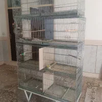 قفس|لوازم جانبی حیوانات|شاهرود, |دیوار