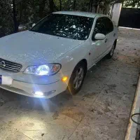 ماکسیما maxima
