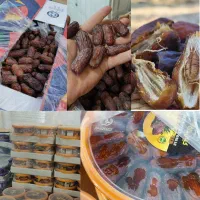 خرما عمده پیارم /قیمت رقابتی