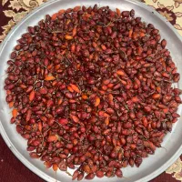 میوه نسترن وحشی(گلدیک)