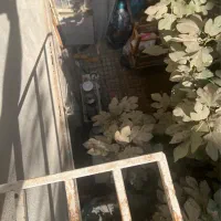 اجاره ملک مسکونی