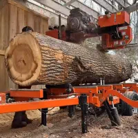 خرید کنده درخت و چوب سقفی|خدمات باغبانی و درختکاری|نیشابور, تریا پارک|دیوار