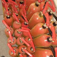 شارژ و فروش کپسول های آتش نشانی(پونک،شهرک غرب|خدمات پیشه و مهارت|تهران, پونک|دیوار