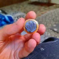 شجر سوزنی قائنات