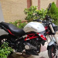 بنلی 300 جفت 1401