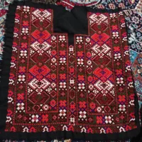 زیاستین سنتی