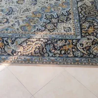 فرش 12متر ی|فرش|مشهد, کوی دروی|دیوار