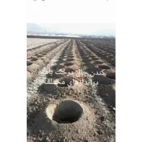 اجاره دهی چاله کن|خدمات باغبانی و درختکاری|نقده, |دیوار