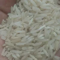 برنج محلی درجه ۱ به شرط
