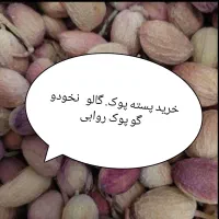 پوست گالو پوک