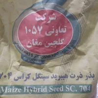 بذر ذرت ۷۰۴ دشت مغان تولید ۱۴۰۳|خدمات باغبانی و درختکاری|شهرکرد, |دیوار