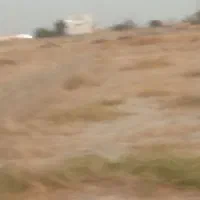 زمین حدود 550|فروش زمین و ملک کلنگی|نیشابور, مازول|دیوار