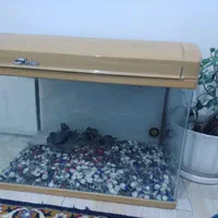 آکواریوم وارداتی شیشه خم ژاپنی مارک. Yuemei