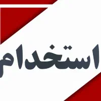 نیروی کار خانم