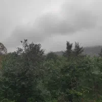 ۲۸۰۰۰هزار متر با مجوز بوم گردی|فروش زمین و ملک کلنگی|ماکلوان, |دیوار