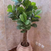 لیراتا مصنوعی درجه یک