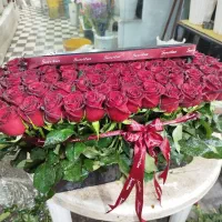 گلکده|گل و گیاه طبیعی|قائم‌شهر, |دیوار