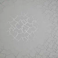 طرح کاغذ دیواری با رنگ اگلریگ بدون بو|خدمات پیشه و مهارت|خلخال, |دیوار